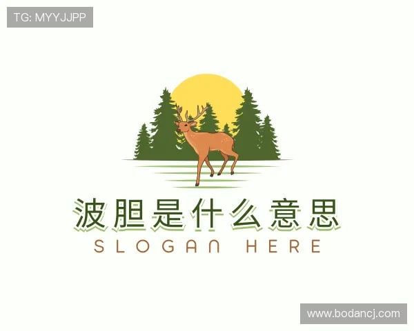 发现波胆