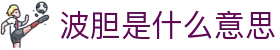 波胆采集网：主流联赛波胆数据追踪与即时赔率分析